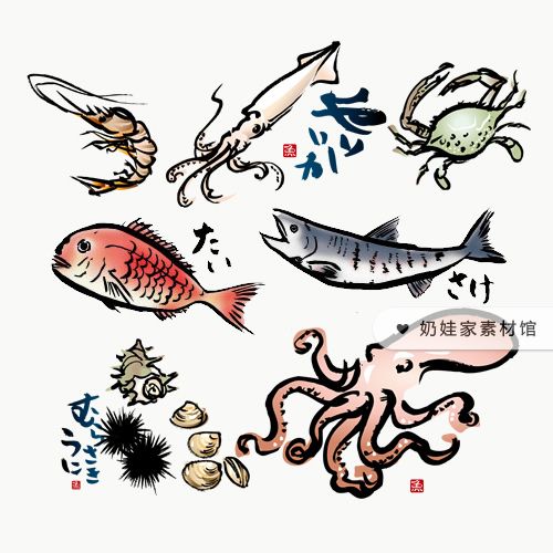 sc010海鲜产品鱼虾鱿章鱼蛤蜊海胆毛笔风ps印刷插画广告设计素材